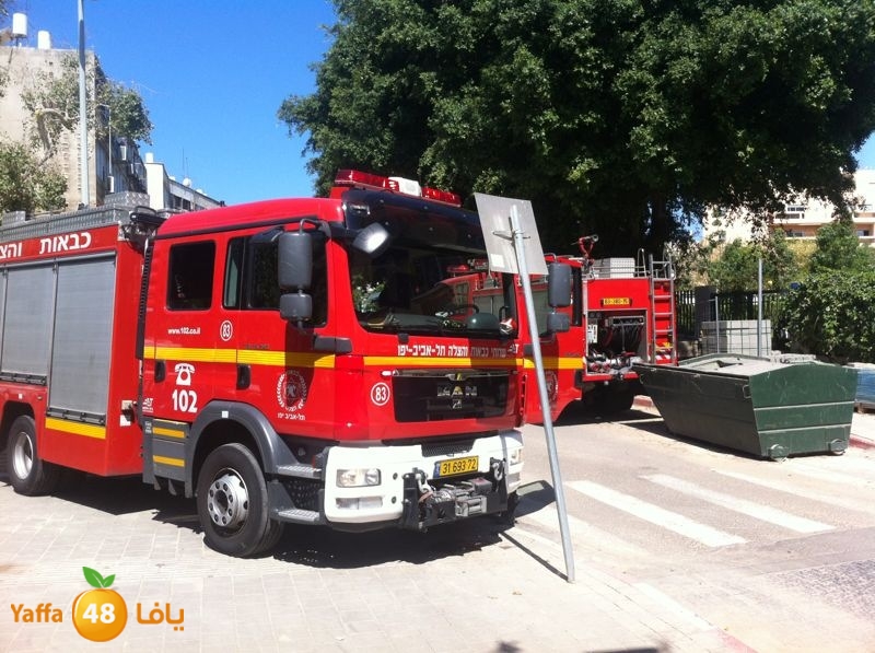 firese77anfsiya511 (1).JPG